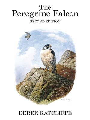 cover image of The Peregrine Falcon